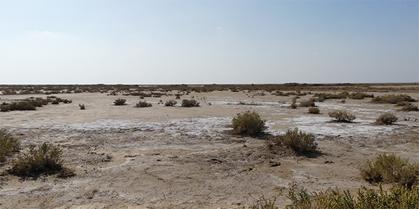 Salts deposits in Iran’s Bushehr Province.