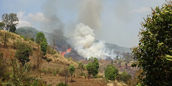 Slash-and-burn agriculture in Southeast Asia is a major source of air pollution.