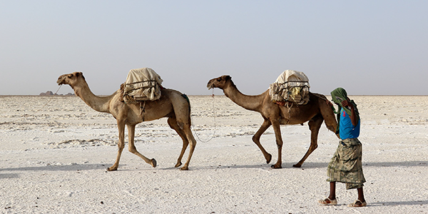 Drought severely impacts public health and alters ecosystems.